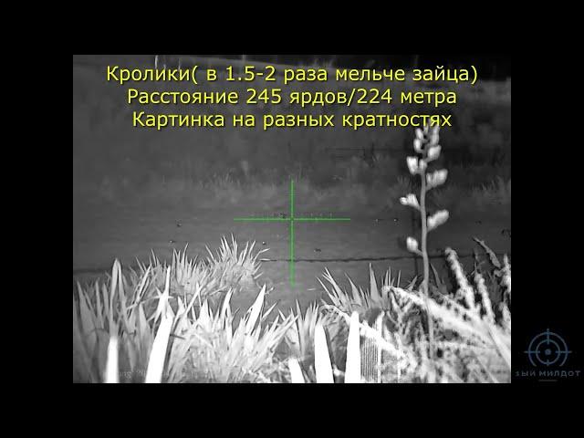 Sytong HT70-LRF  видимость ночью в реальных условиях (охота)