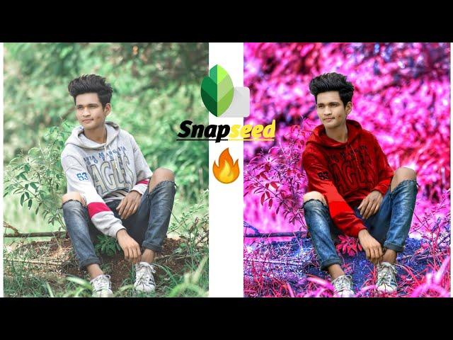 Snapseed Background Colour Change | an T-shirt Color Changing | Creative Liton