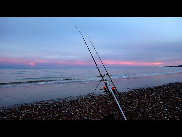 SEA FISHING UK - LOW TIDE SESSION AT PEVENSEY BAY - SHORE FISHING IN EAST SUSSEX