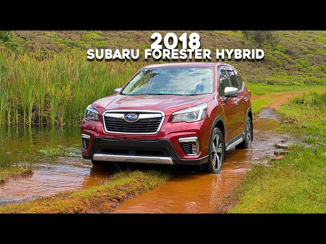 2018 Subaru Forester Hybrid. What has changed?