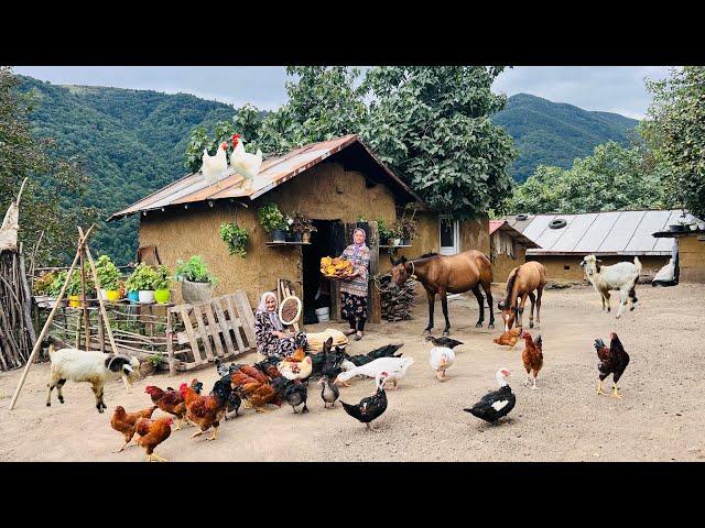 Village Life with Grandma in Northern Iran | Baking Flatbread with Halva in the Garden