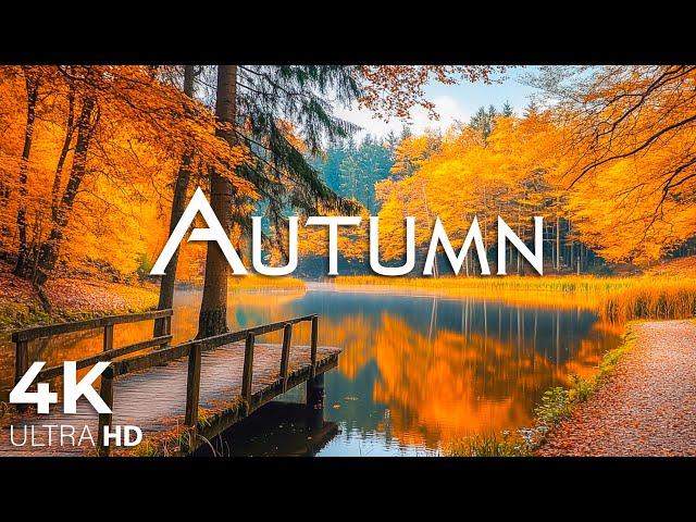 Enchanting Autumn Forests with Beautiful Piano Music4K Autumn Ambience & Fall Foliage #20