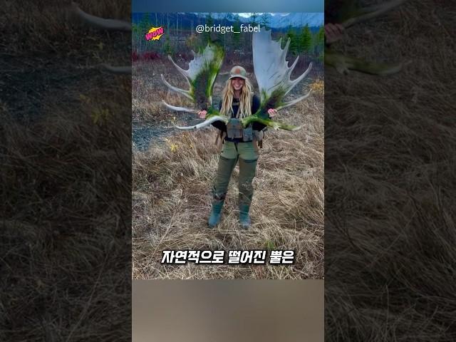 무스가 몸을 흔들자 일어나는 놀라운 일