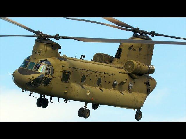 [4K] Impressive CH47F Chinook | nice arrivals at Gilze Rijen