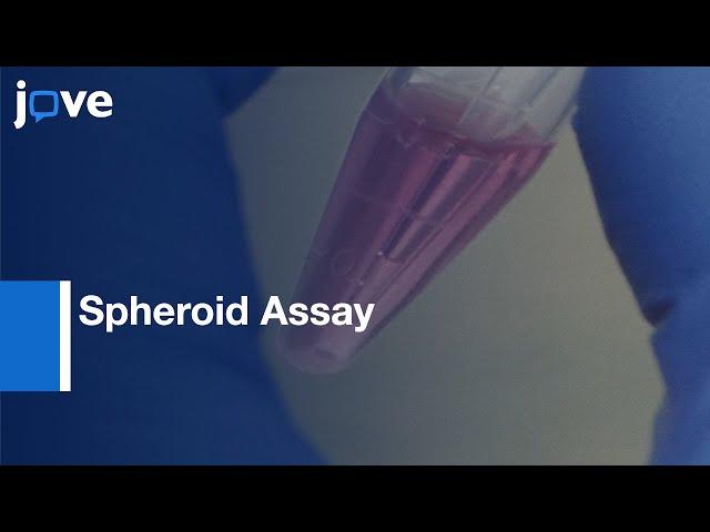 Spheroid Assay of Cancer Cell to Assess Invasion in a 3D Setting | Protocol Preview