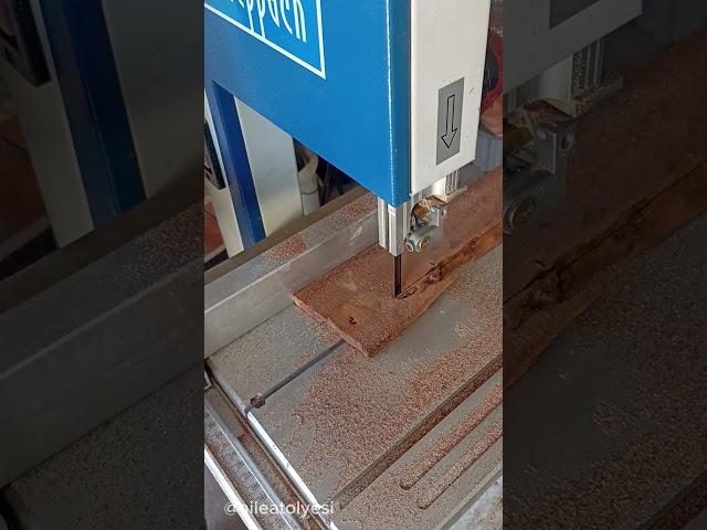 Scheppach Basa 1 Şerit Testere ile  Ardıç Özü Kesimi #scheppach #basa1 #bandsaw #hızar #ardıç