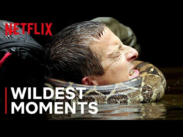 Bear’s WILDest Moments  Animals on the Loose: A You vs Wild Movie | Netflix After School