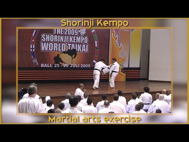 Martial arts exercise Shorinji Kempo.  Kawashima sensei. Taikai  少林寺拳法