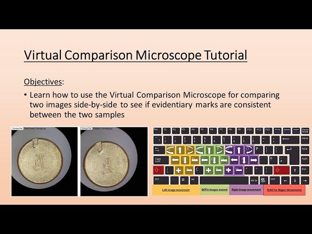 Virtual Comparison Microscope