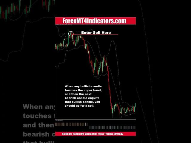 Bollinger Bands RSI Momentum Forex Trading Strategy