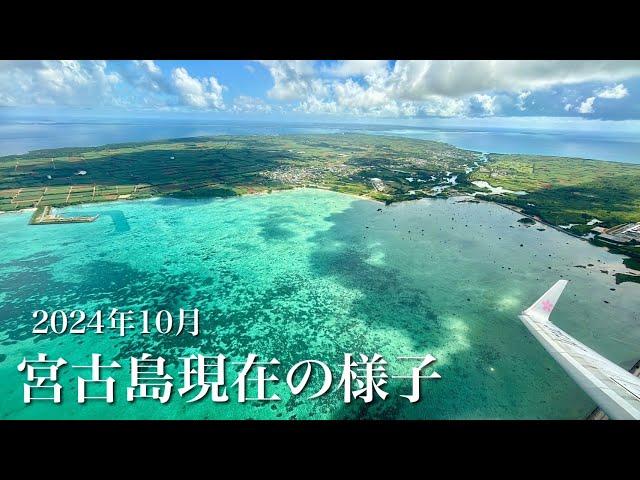 【ベストシーズン】10月現在の宮古島の様子｜最新飲食店、天気、混雑状況リポート