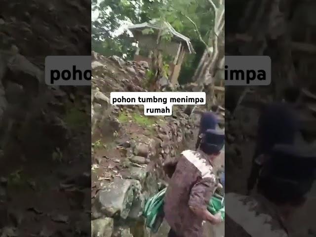 pohon tumbang menimpa rumah