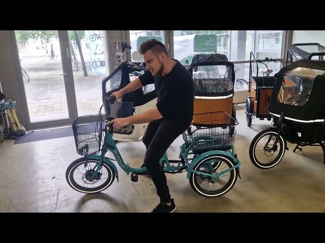 Swing Mini 20 Zoll Dreirad E-Bike Senioren Lastenrad Cargo Lastenfahrrad