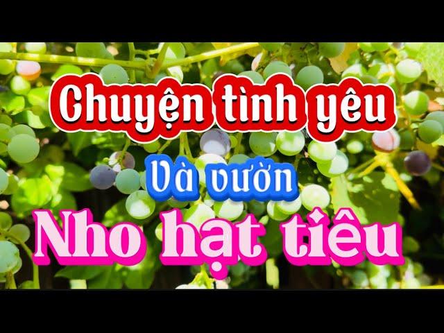 Tham quan vườn nho hạt tiêu - nghe chuyện tình yêu xuyên quốc gia, không phân biệt tuổi tác️