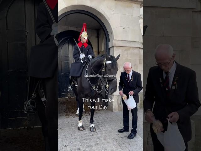 Veteran Visits his Horse and this happened ️