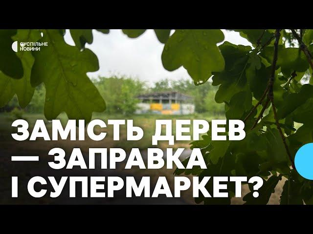 Супермаркет та заправка замість зеленої зони: у Миколаєві можуть зрубати 180 дерев