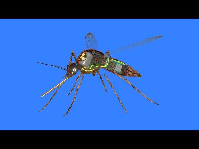 How a mosquito works