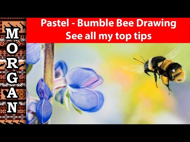 Pastel pencil - Drawing a Bee (flower painting) Jason Morgan Art