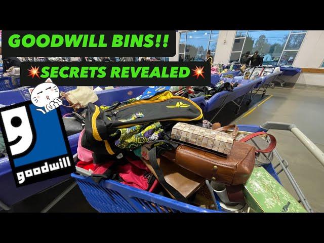 Let’s Go To Goodwill Bins!! Goodwill Outlet Secrets Exposed!  35 POUNDS To Sell! Thrift With Me!