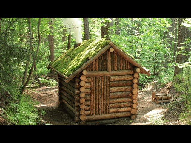 Building a Survival House in the Larch Woods. From start to finish. ASMR