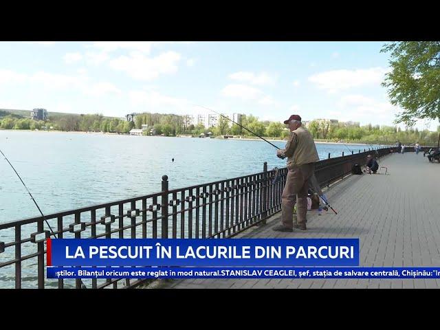 La pescuit în lacurile din parcuri