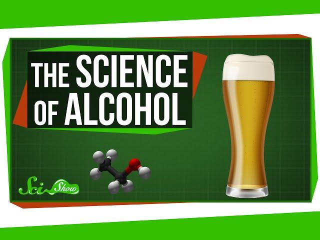 The Science of Alcohol: From Beer to Bourbon