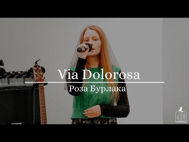 "Via Dolorosa" - Роза Бурлака (Gebetshaus Minden)