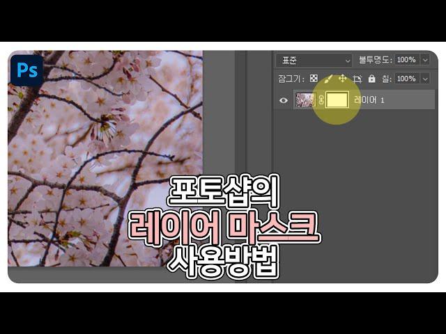 포토샵의 레이어 마스크 사용 방법 알아보기