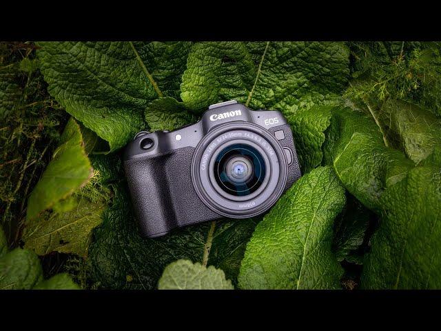 7 Best Budget Mirrorless Cameras In 2024