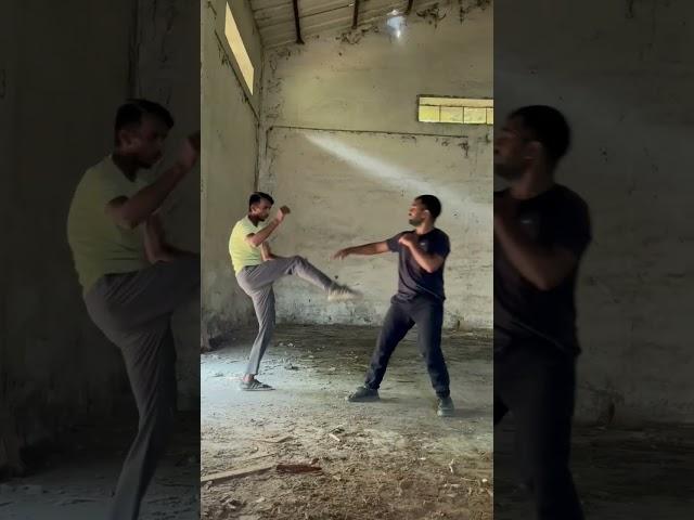 Kung FU Martial Arts Combat Fight