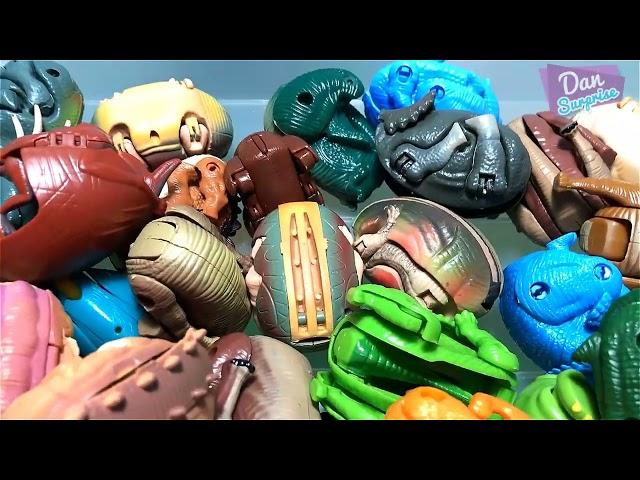 53 Transforming Eggs - T-Rex, Spinosaurus, Pteranodon, Triceratops, Iguanodon, Brachiosaurus, Raptor