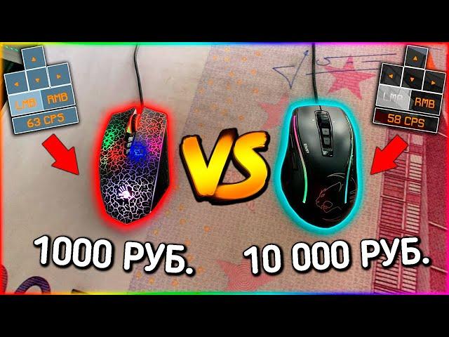 МЫШКА ЗА 1000 vs ЗА 10000 РУБЛЕЙ! Bloody vs ROCCAT | Какая Лучше?