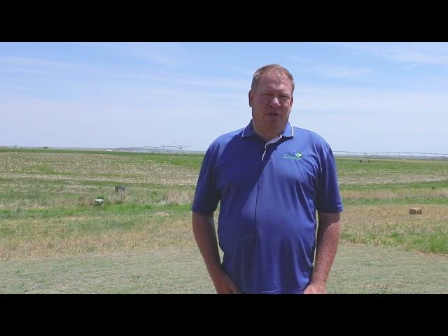 Meet the Researcher: Jonathan Kleinjan, SDSU Extension Agronomist