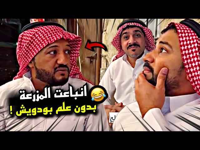 انباعت المزرعة بدون علم بودويش  | سنابات مرتضى السلمان