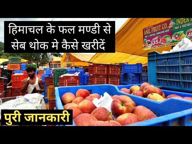 How To  Buy Apple From Wholesale Fruit & Vegetable Market of Himachal Pradesh