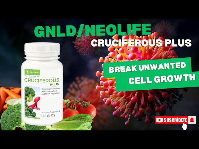 GNLDNEOLIFE CRUCIFEROUS PLUS