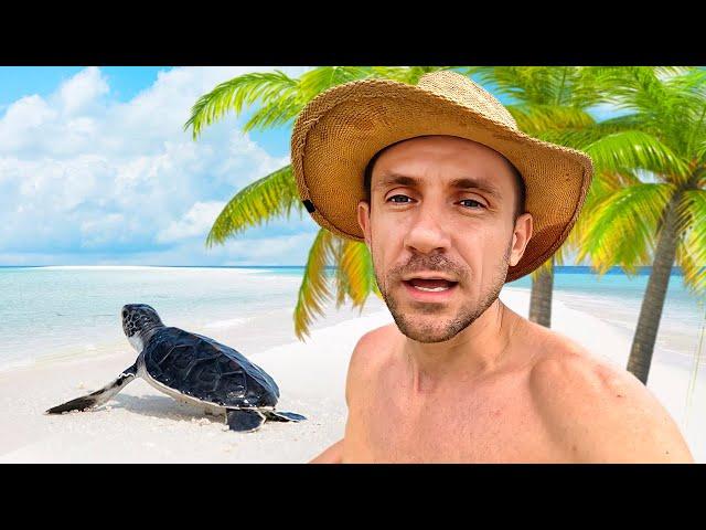 STAYING LIVING ON A DESIGNATE SHARK ISLAND. CRAB HUNT [Day-7]