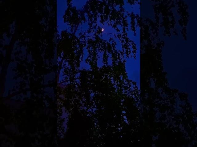 Свидание с Луной  Всегда становится спокойнее,когда смотрю на небо #moon #beauty #nature #night