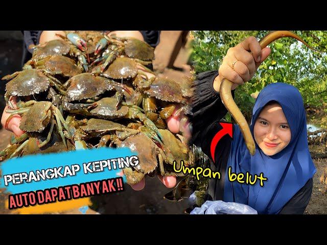 Menangkap kepiting bakau | Kepiting saus tiram