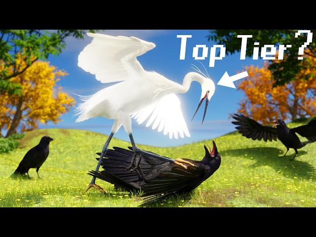 The Bird Tier List