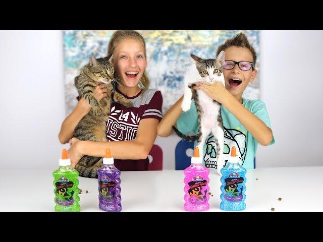 Our Cats Pick Our Slime Ingredients Challenge!!!