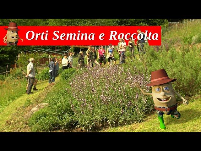 Orti Semina e Raccolta