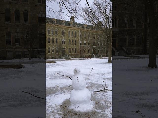 Snowy scenes at Cornell. ️