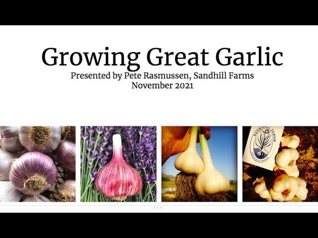 Growing Great Garlic w/ Pete Rasmussen