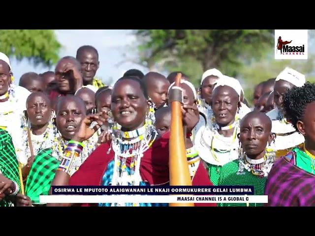 ILAIGWANAK - NAMAYIANI KASHINGO, ORKILIKWAI OIROSHI