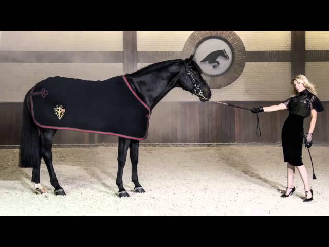 EQUESTRIO magazine - Trailer