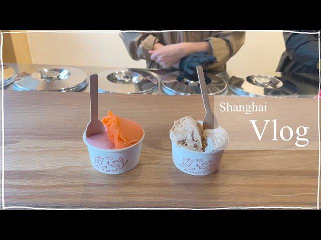 상하이 일상 vlog  | shanghai vlog | 유학생 | 어학연수 | 맛집 | 브런치 |상해생활1년차 | 중국어공부 | 너무진아TMJA