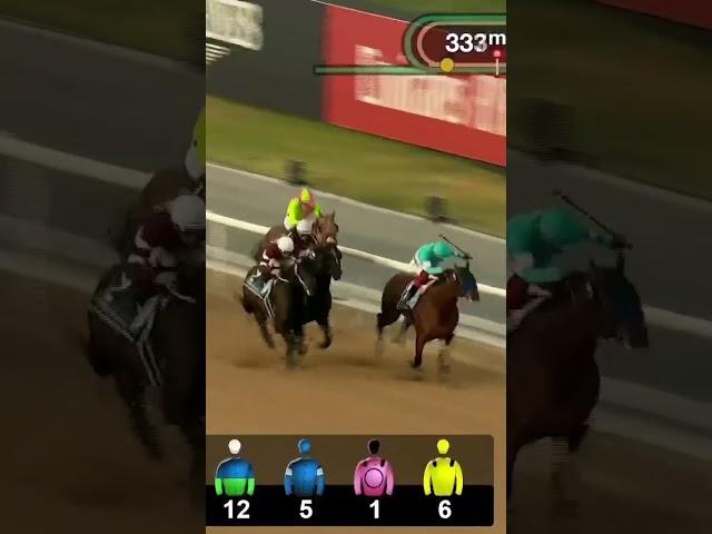 SIBELIUS edges out Switzerland in a thrilling G1 Dubai Golden Shaheen!  #DWC2023
