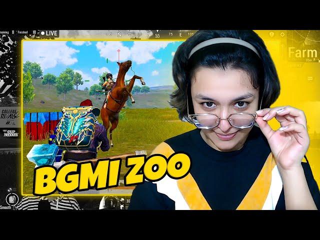 Welcome to BGMI ZOO | Solo vs Squad Funny PUBG Live Highlights