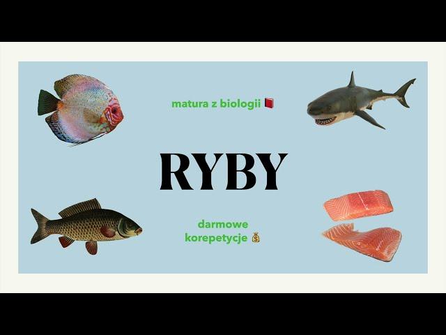 #29 Ryby - budowa, charakterystyka  matura z biologii  liceum 